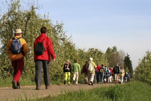 5 Steps to a Successful Pilgrimage